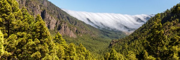 CabLaPalma Profile Banner