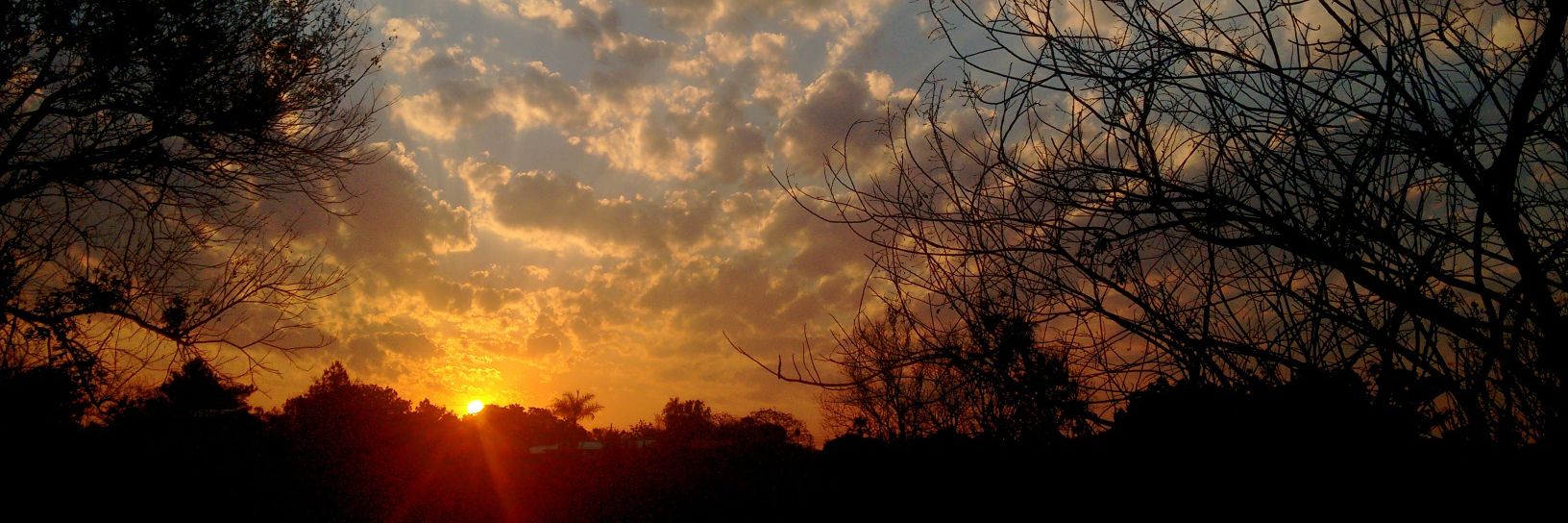 Anselmoobaez's profile banner image