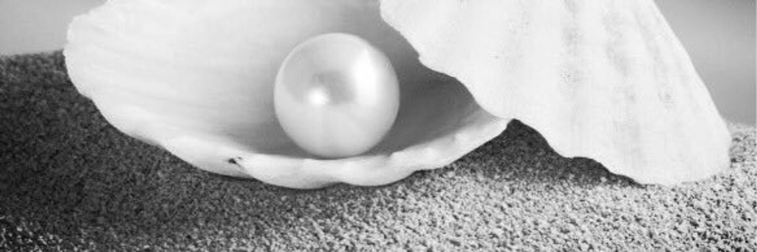 🤍~•o•حامد•o•~ banner