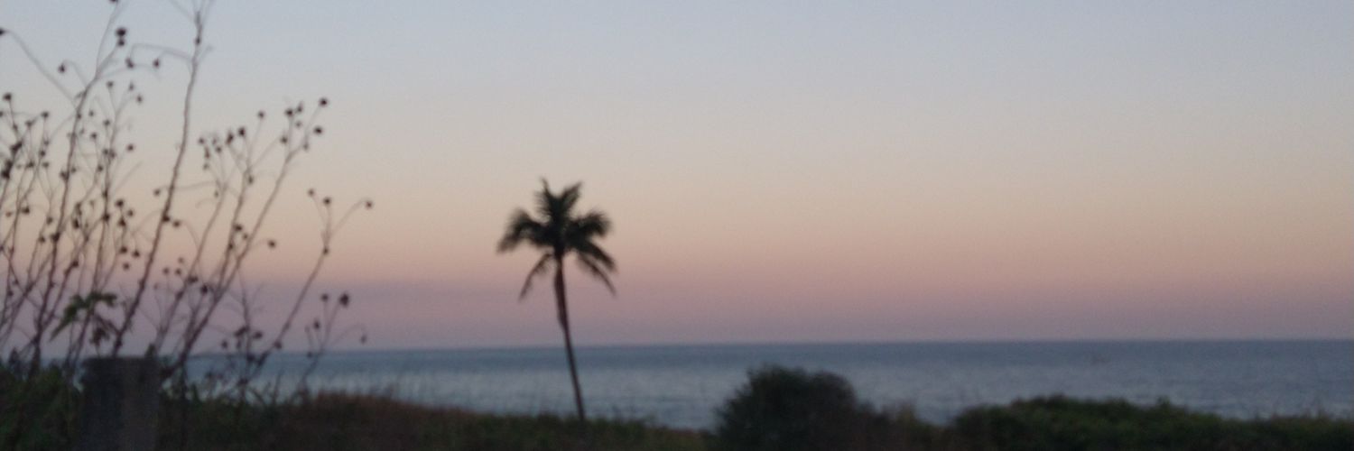 _NandaRocha_'s profile banner image