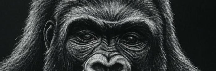 Critofer's profile banner image