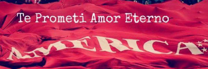 Romanovich... banner