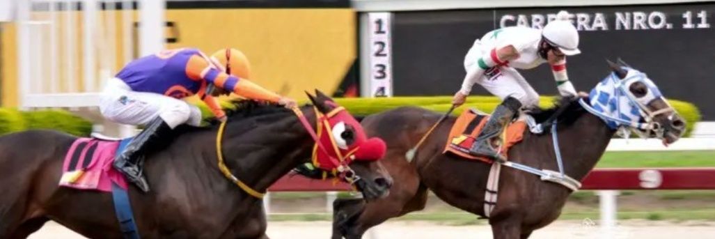 Germán Martínez banner