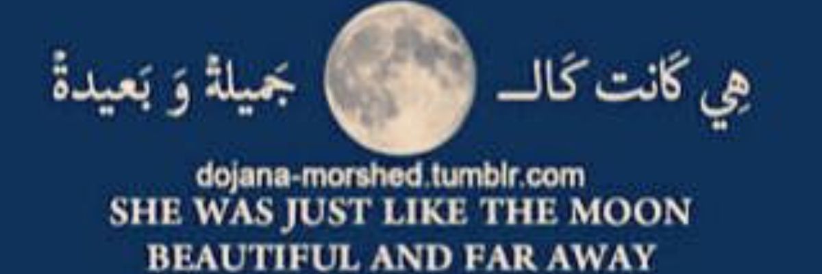 abo0ode246's profile banner image