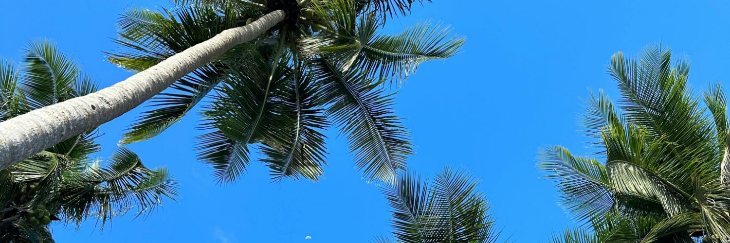 hottdee's profile banner image