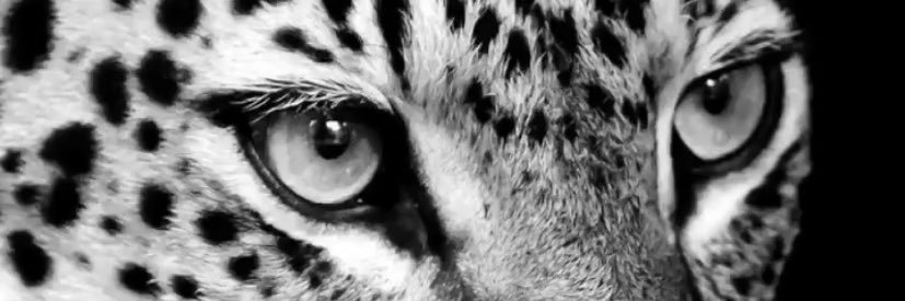 Lgjimenez95's profile banner image