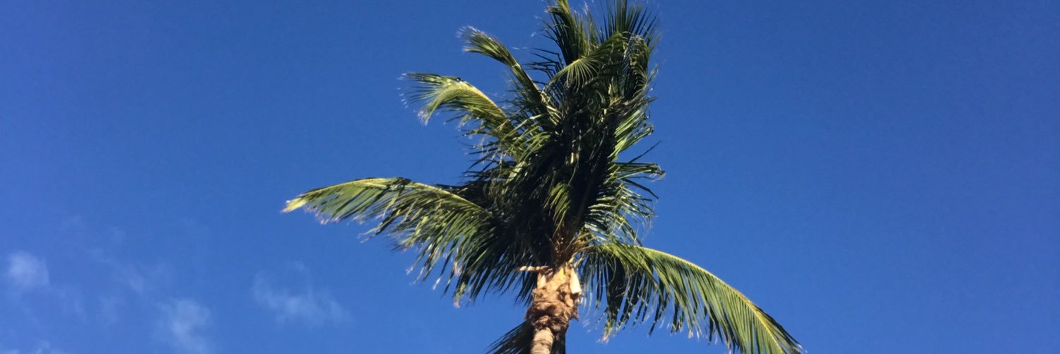 cioffijt's profile banner image