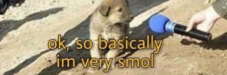 🗽🪬s ü ß f o t z e 🇬🇩🇹🇹 banner