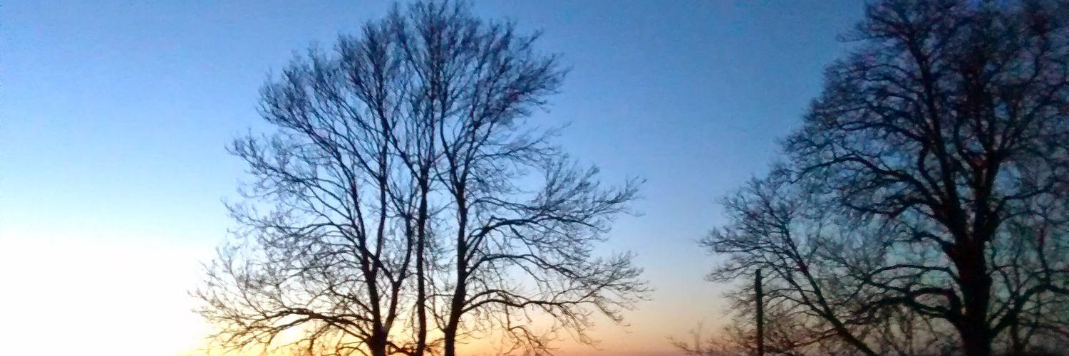 johnrowson3's profile banner image