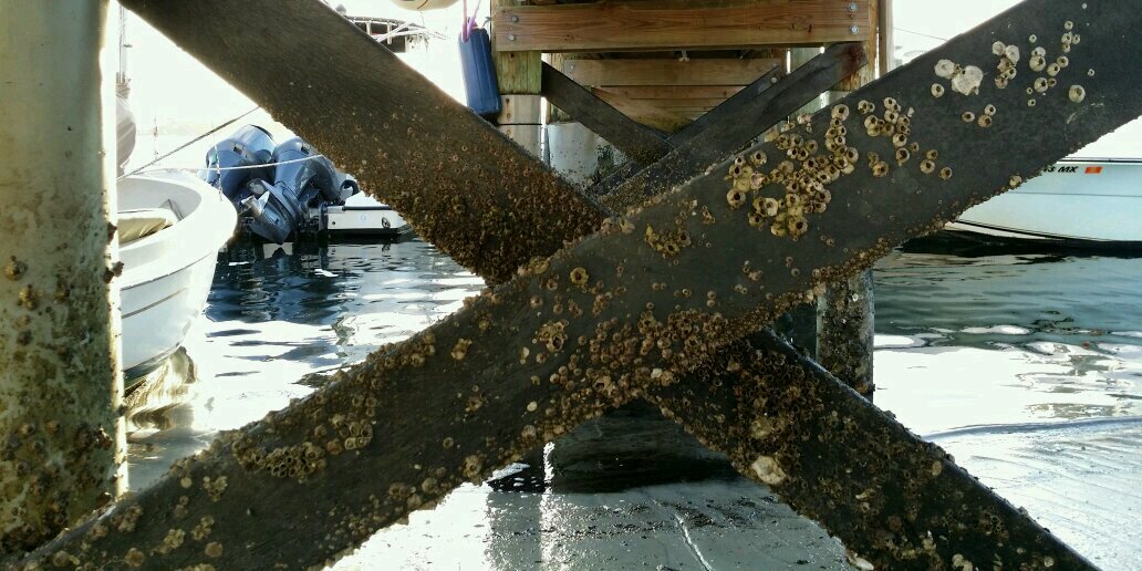 Kenneth Patten banner