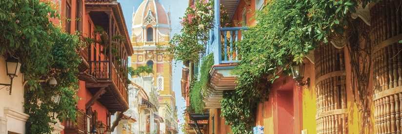 verorumie's profile banner image