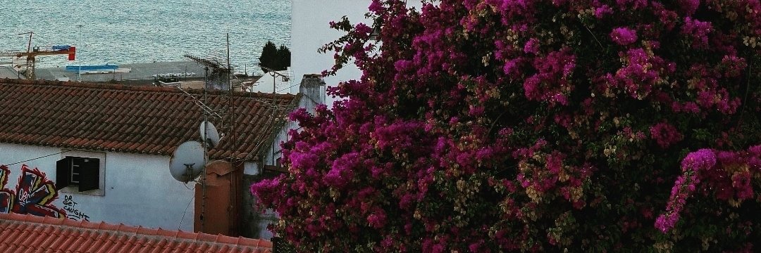 Rahamiya's profile banner image