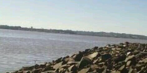 DavidMacielM's profile banner image