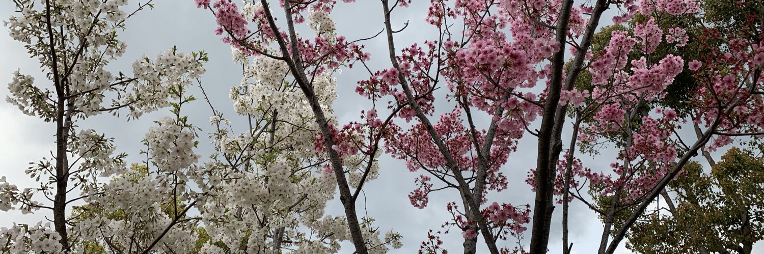 benjazada's profile banner image