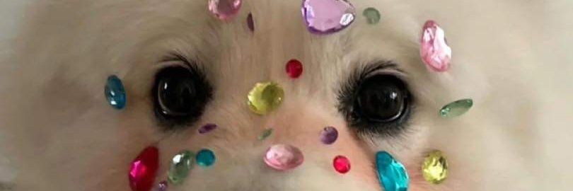andyta19's profile banner image