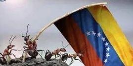 LIVIO DE LOS RIOS banner