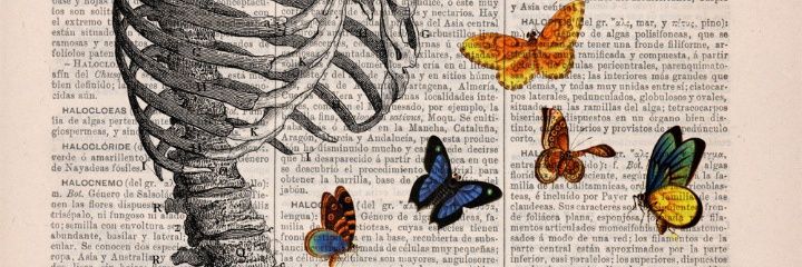 crazysoulless's profile banner image