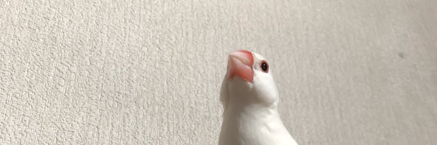 llxpo's profile banner image
