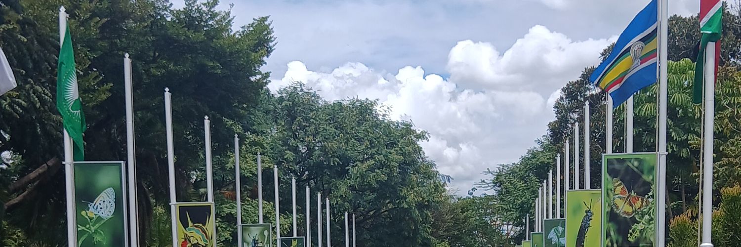 Ishe Ntungamo banner