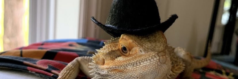 jackmcgraf's profile banner image