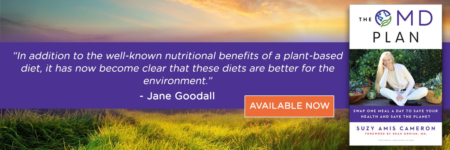 Suzy Amis Cameron banner