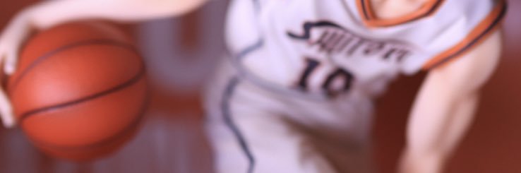 照美's banner