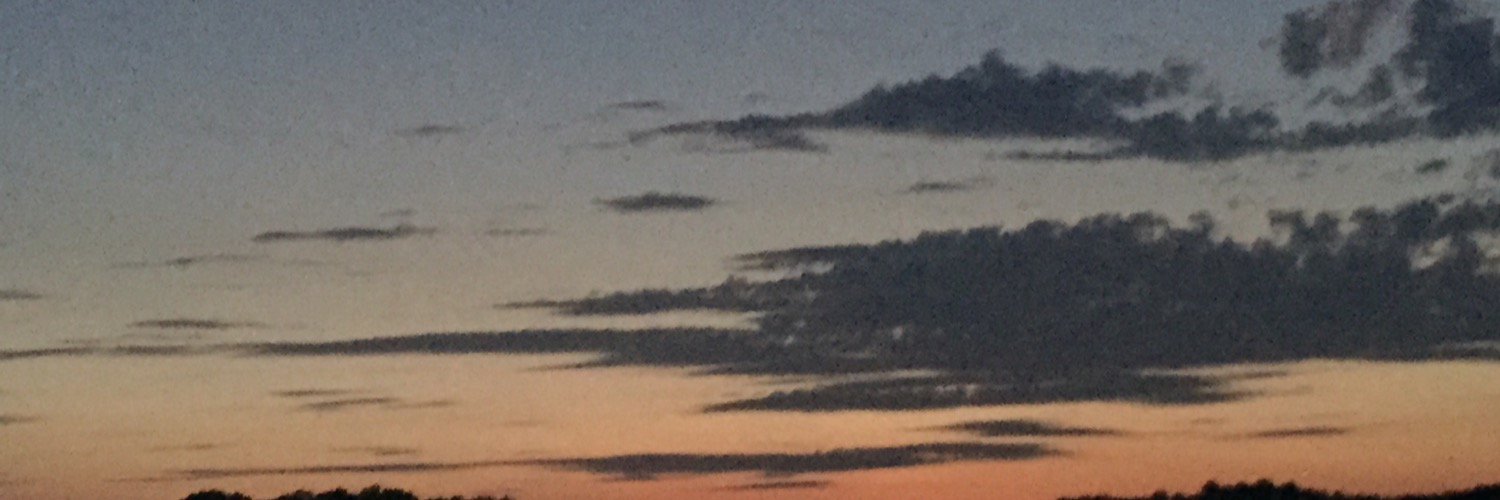 renonezero's profile banner image