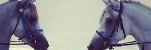 RaYes_one's profile banner image