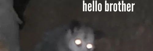 Sad plin plin plon banner
