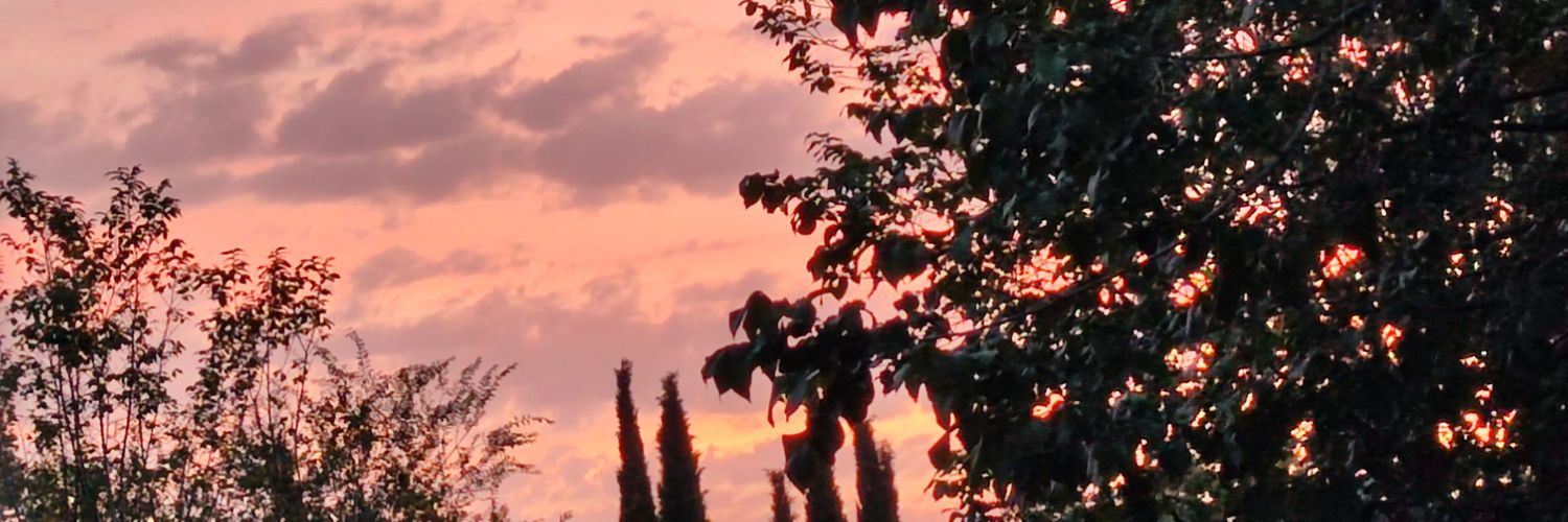 torreon_12's profile banner image