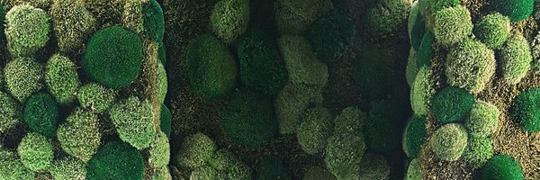 KhalidWilliams9 Profile Banner