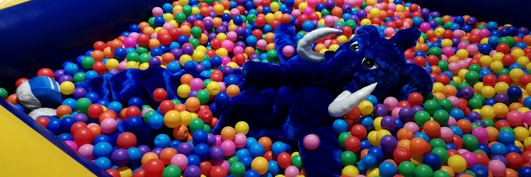 Alicja Kucharczyk banner