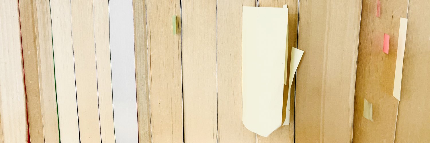 Carolin Amlinger banner