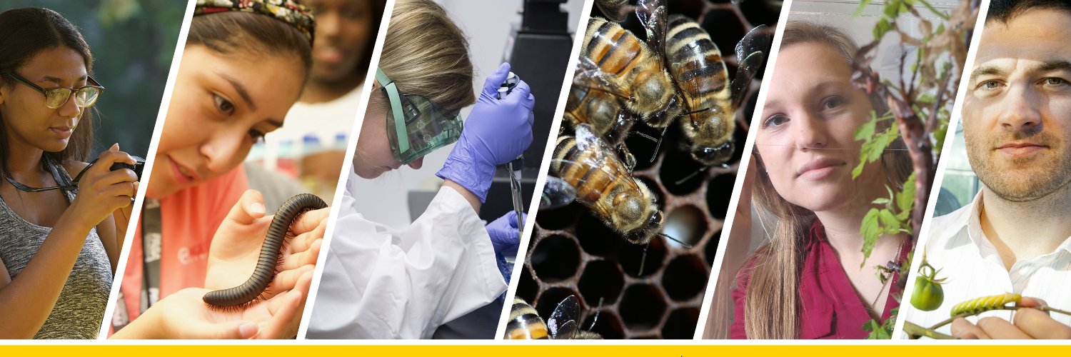 Purdue Entomology banner