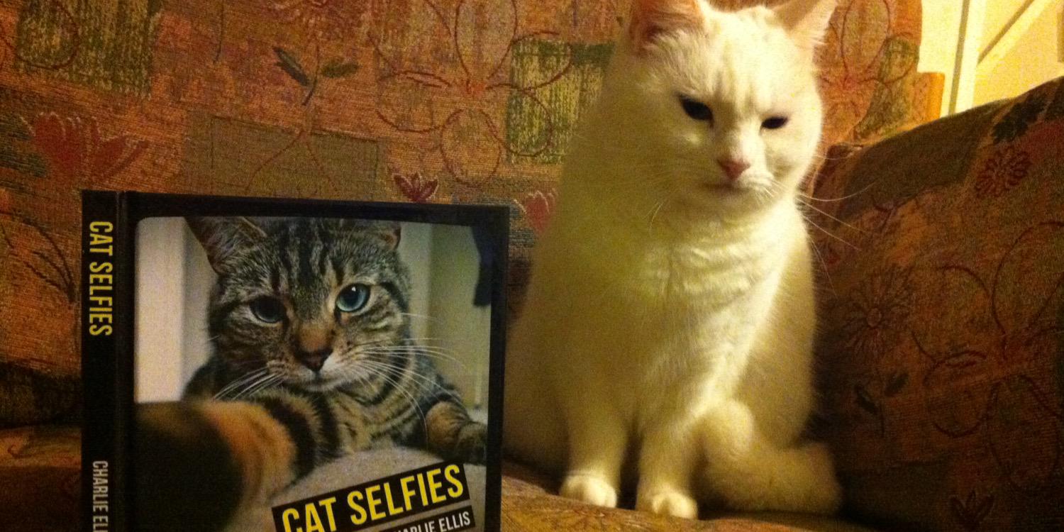 Tina Coldham BEM banner