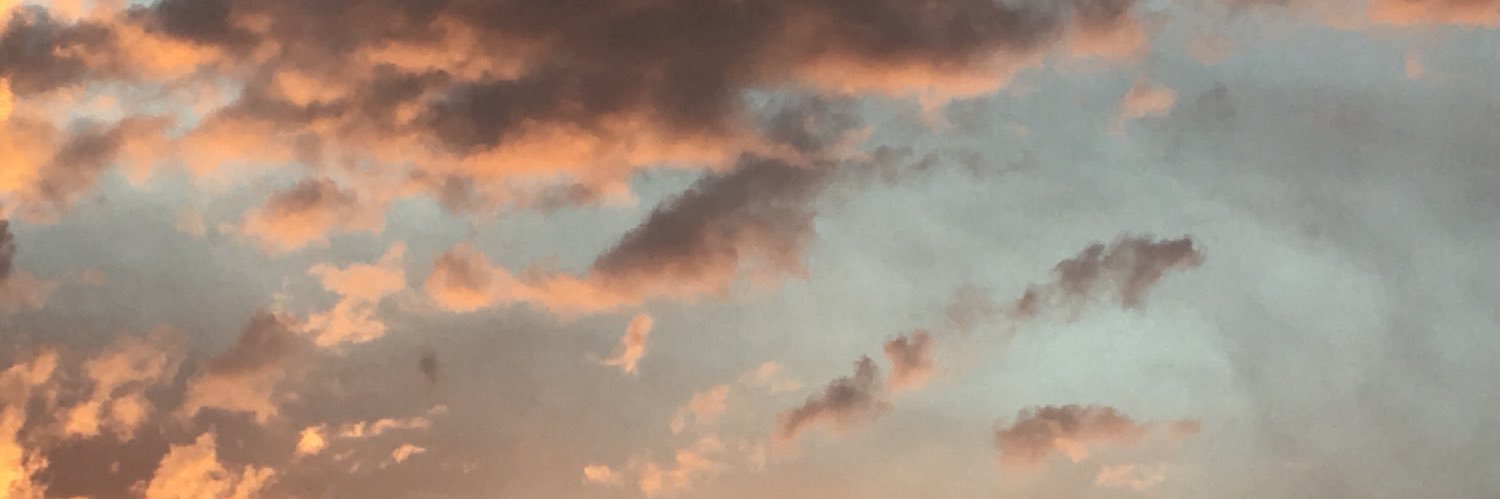 lapostadisara's profile banner image