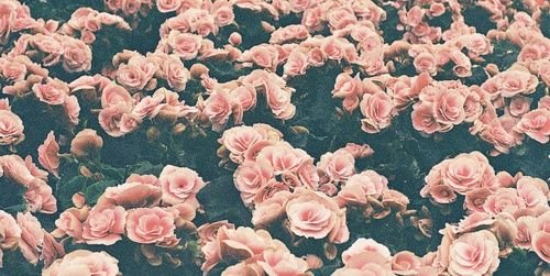 lee__saa's profile banner image