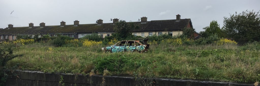 jd 🏴‍☠️🦑 banner