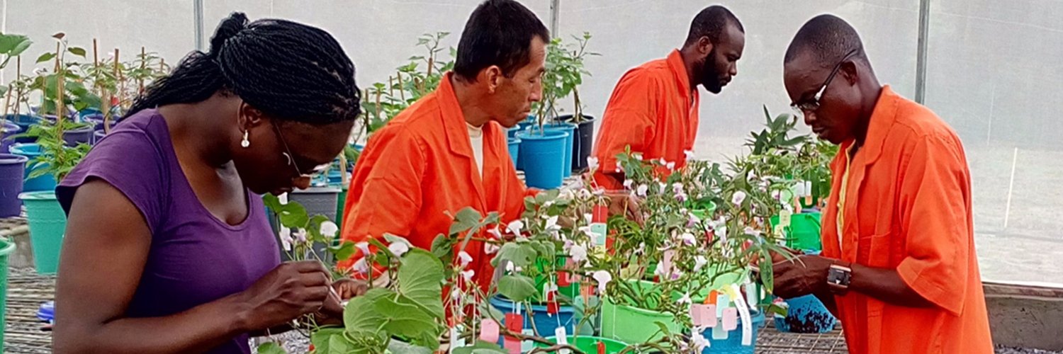 Barbara Wells banner