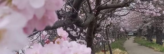 akumu125's profile banner image