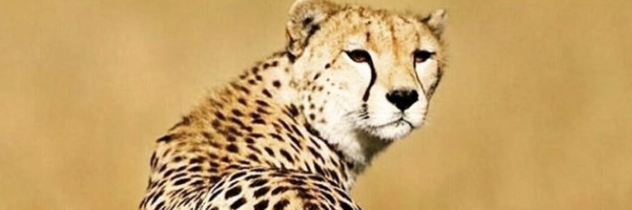 fw_jamal's profile banner image
