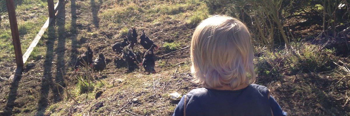 edenagarryeggs's profile banner image