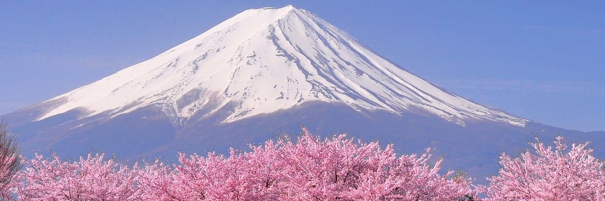 mika15278's profile banner image