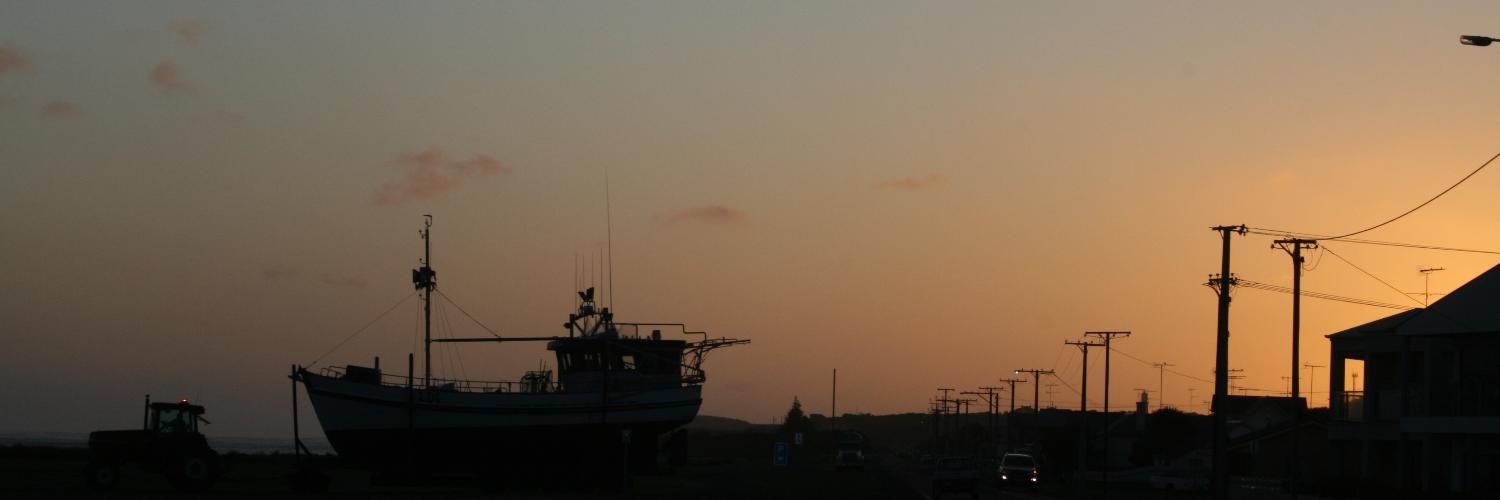 thinkfishtomoz's profile banner image