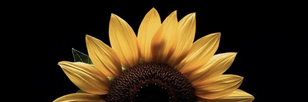 ShooshS3's profile banner image