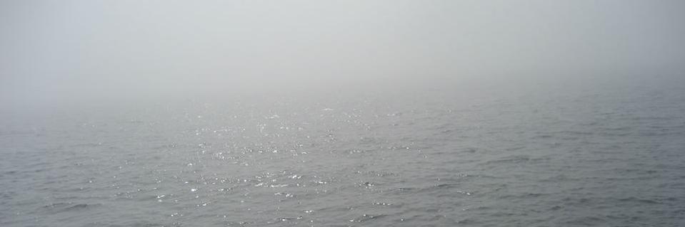 pterodaxel_'s profile banner image