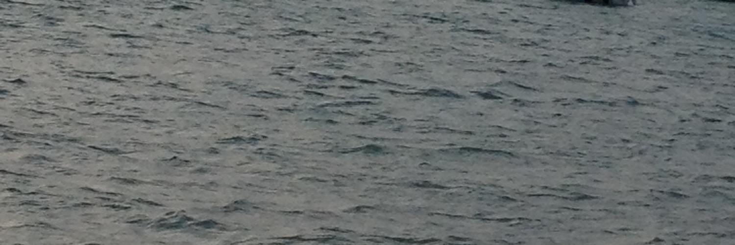 ha1416ha's profile banner image