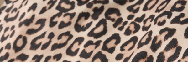 Chicos Profile Banner