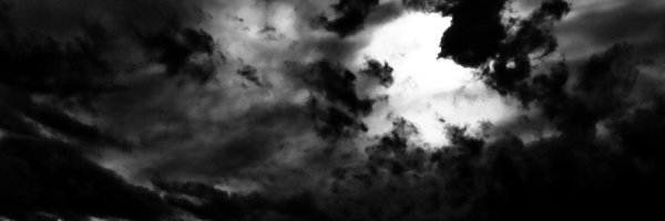 DeedeeTheLeo Profile Banner