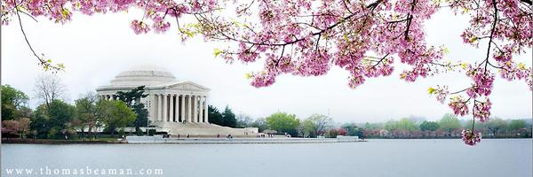 beth_jacaruso Profile Banner